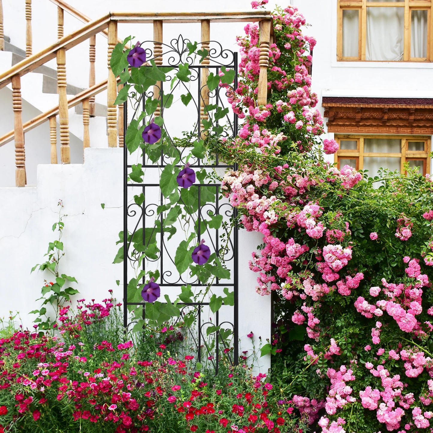 Outdoor Garden Trellis