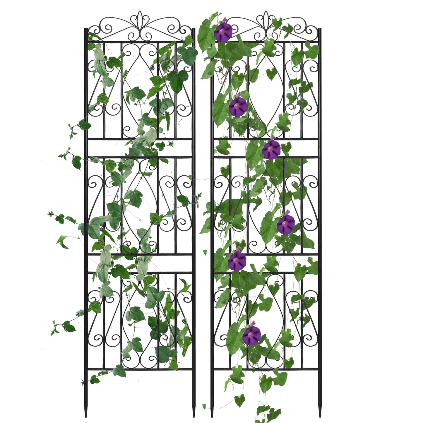 Outdoor Garden Trellis
