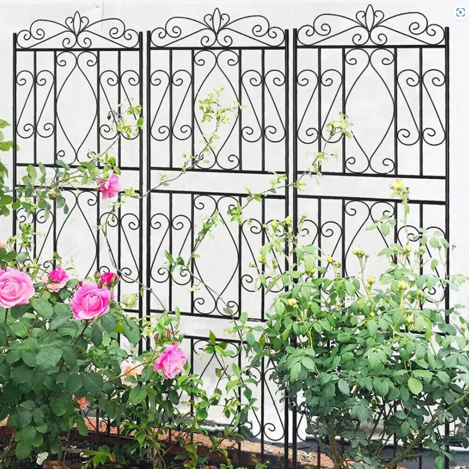 Outdoor Garden Trellis